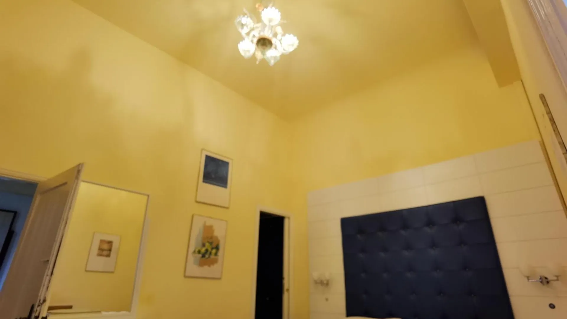Palazzo Eugenia - Minelli Bed and Breakfast Venetië 0*,  Italië